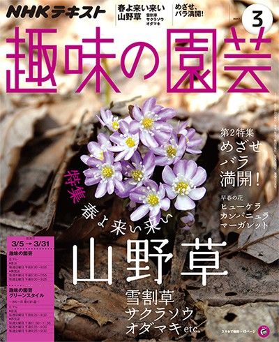 【テキスト掲載情報】『趣味の園芸』『やさいの時間』3月号に掲載されたメンバーを発表！