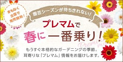 期間限定特集「プレマムで春に一番乗り！」を公開中！