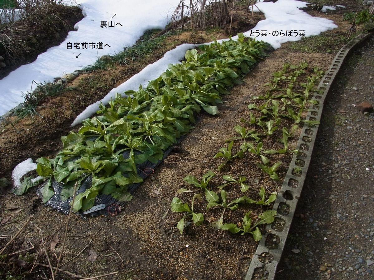 出て来い～来い！