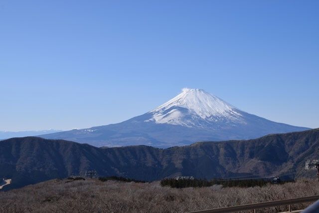 今年初めての桜花見