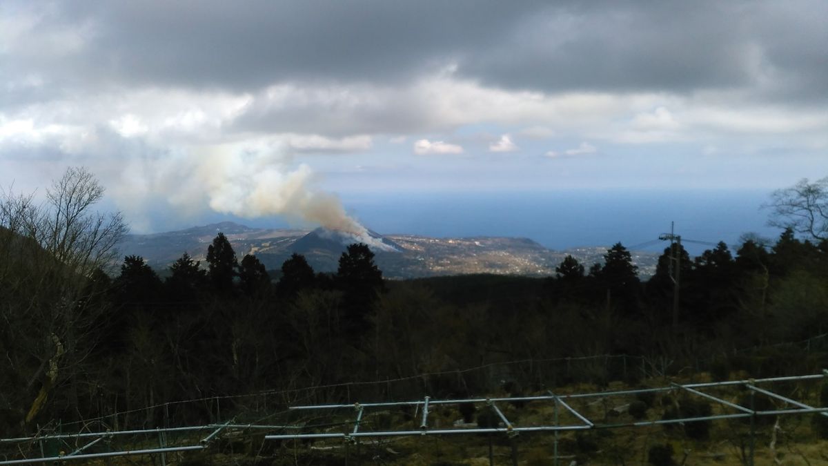 山焼き