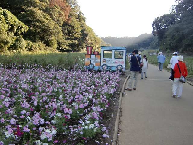 花の国にて