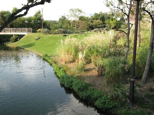 リゾ鳴尾浜・グリーンプラザでトミーの園芸相談