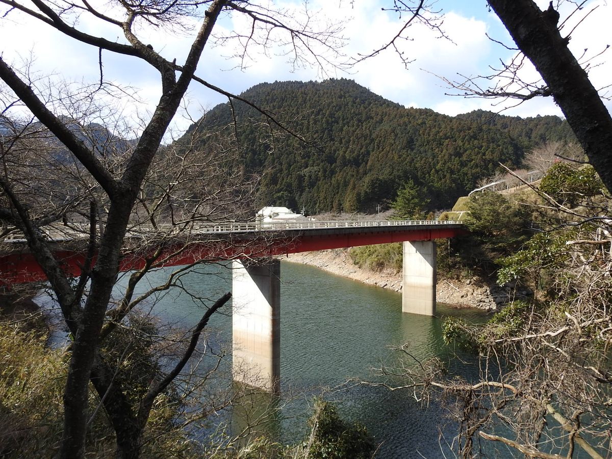 錫杖ヶ岳に登りました。