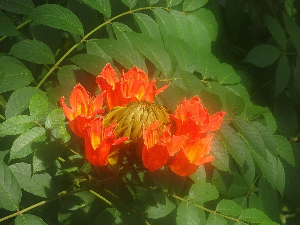 赤塚植物園にて。