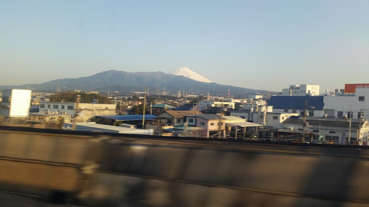 赤塚植物園で講習会