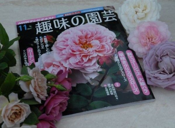 「趣味の園芸」は明日発売です