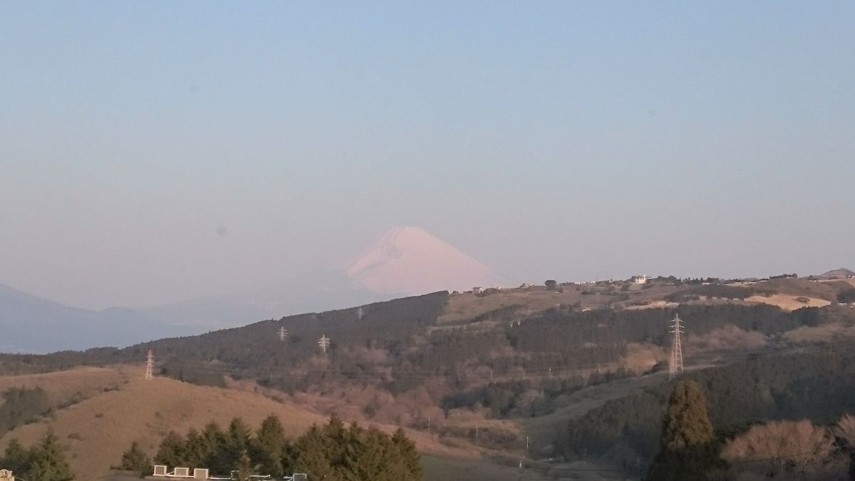 ちょっくら箱根にね