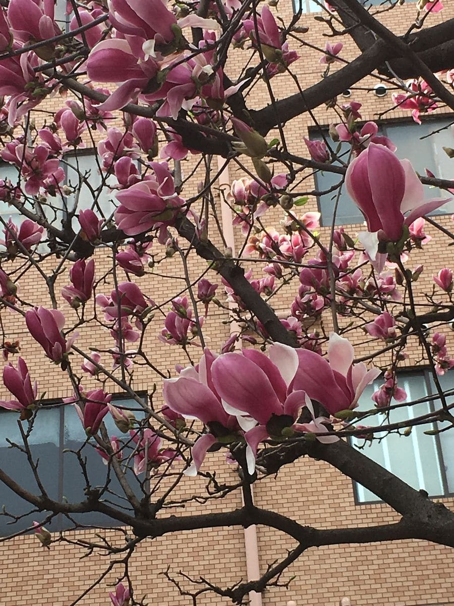 通勤途上  行ったり来たり