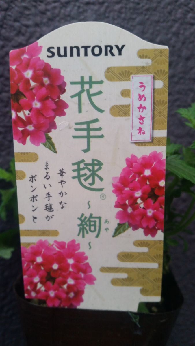 花手毬