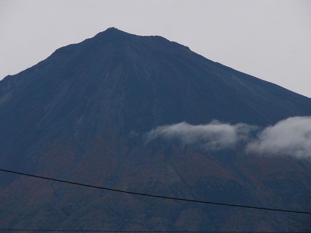 今季初♪ナーセリーの旅満喫①