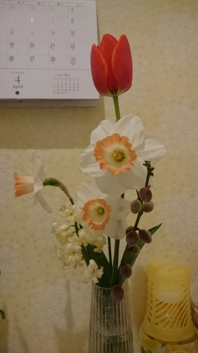 トワレットのお花