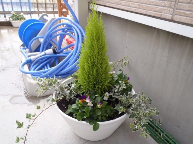 寄せ植え