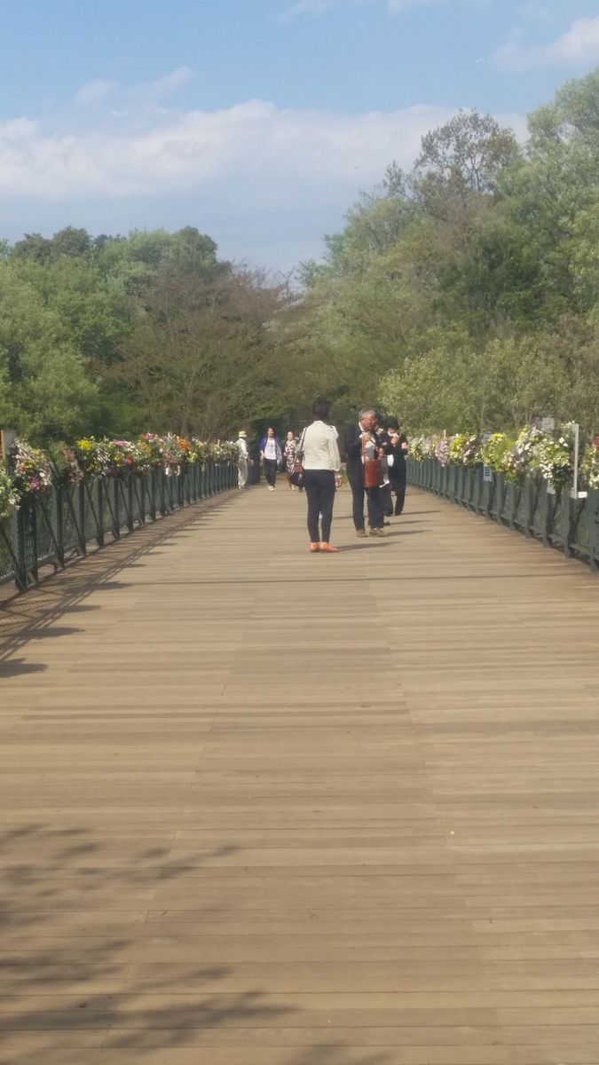 アンデルセン公園でハンギングコンテストの審査