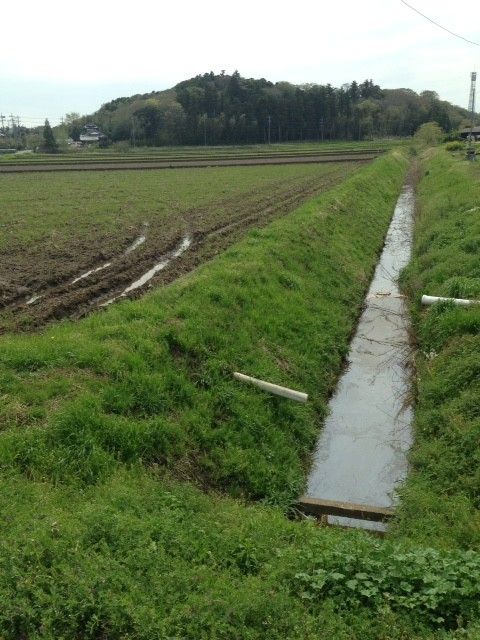 田舎の春