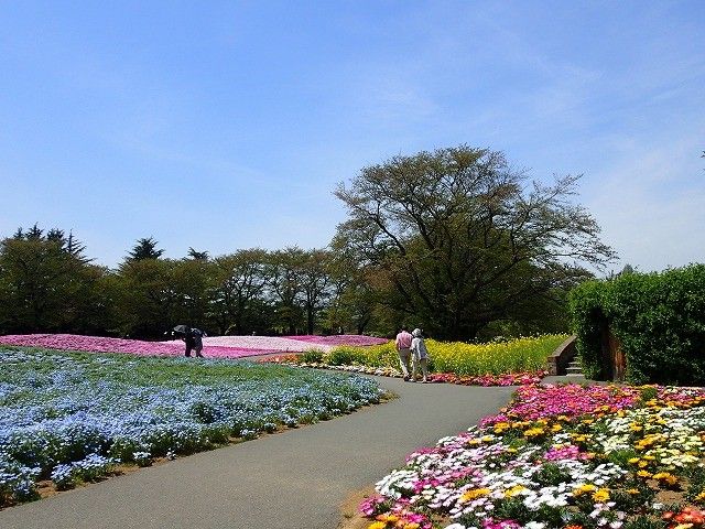 一面の花畑