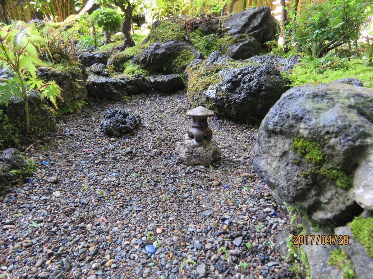 生きいき朝の苔庭