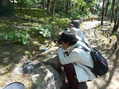 花の文化園へ行ってきました。