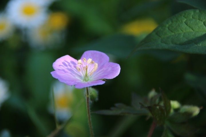 楽しい休日😌