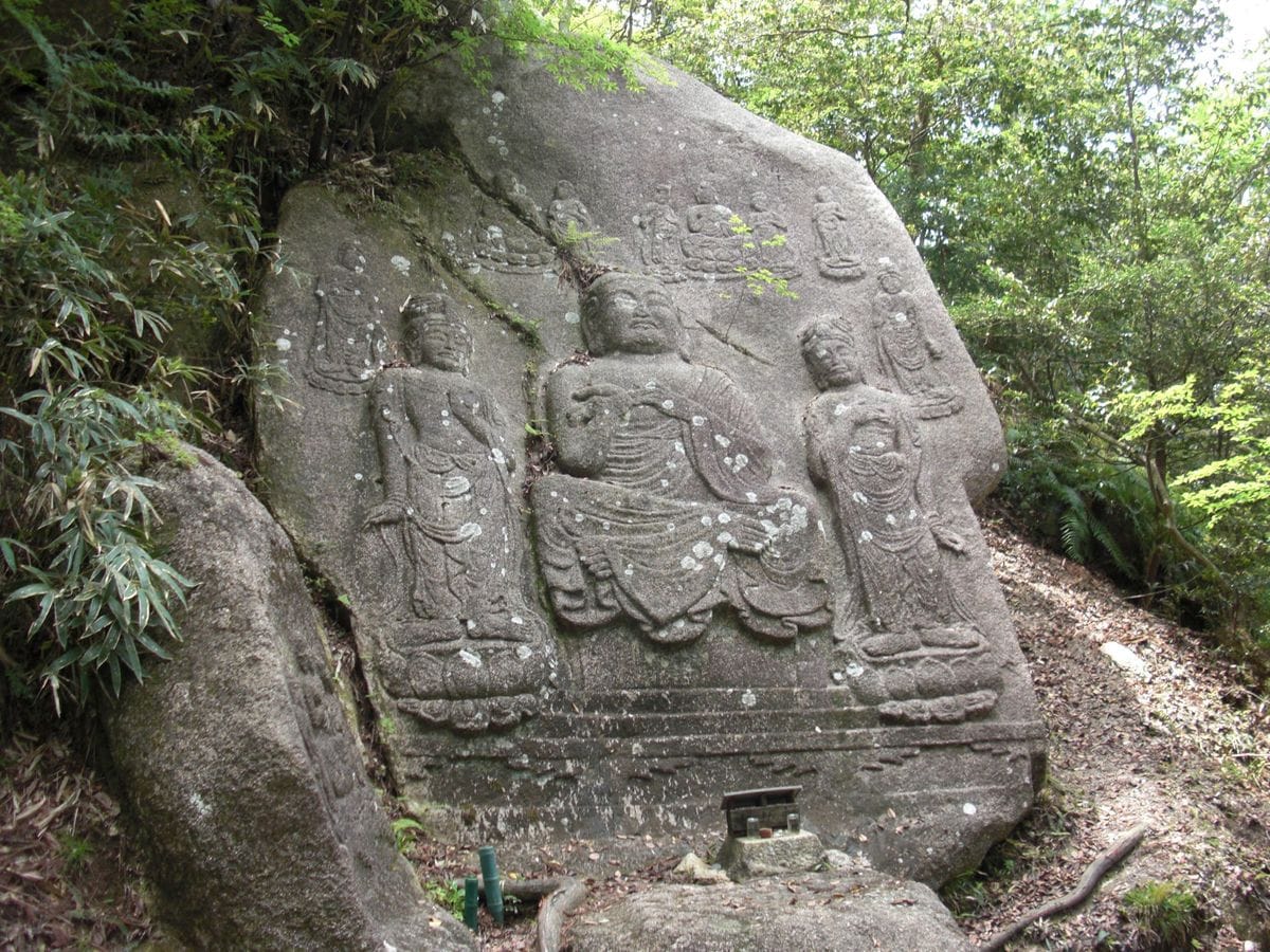 磨崖仏横の木の花？