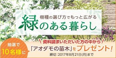 期間限定特集「緑のある暮らし」 資料請求で「アオダモの苗木」が当たる