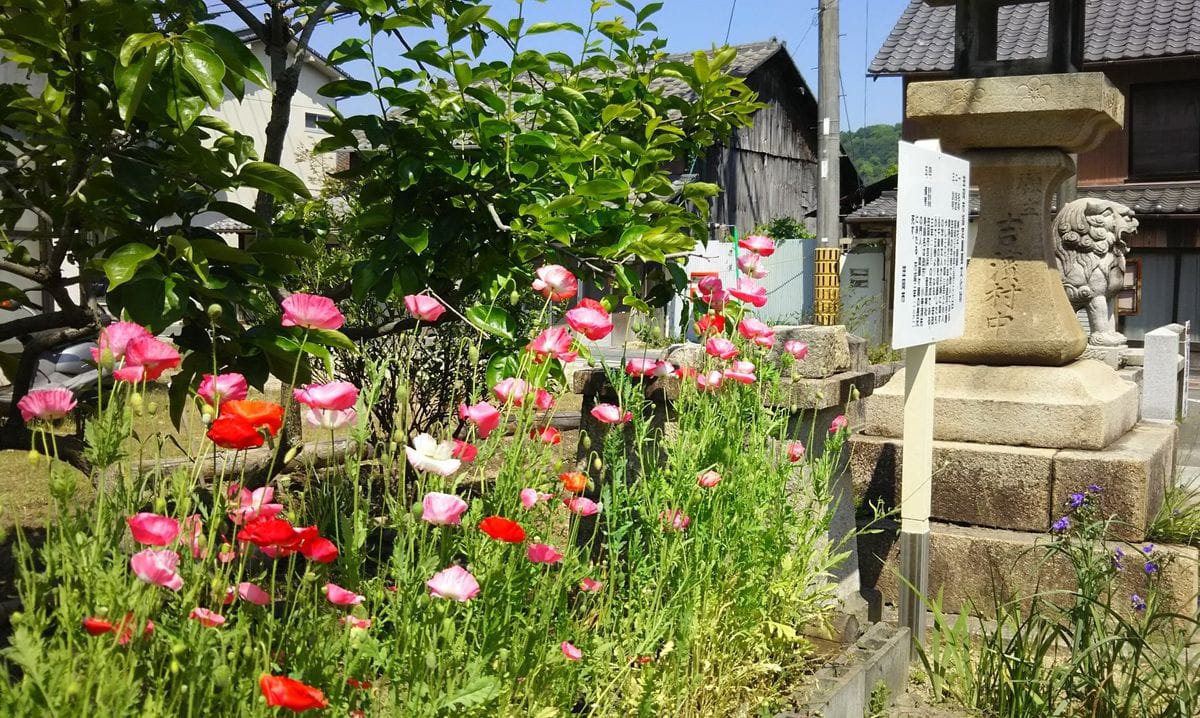 花種まき準備