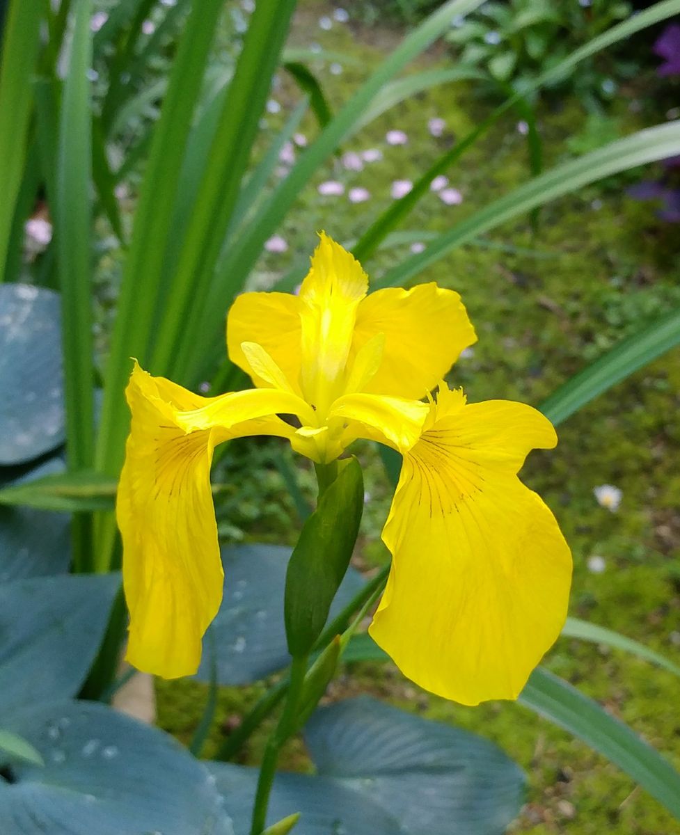 雨が上がれば🌈