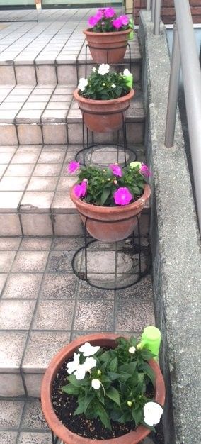 職場の植え替え