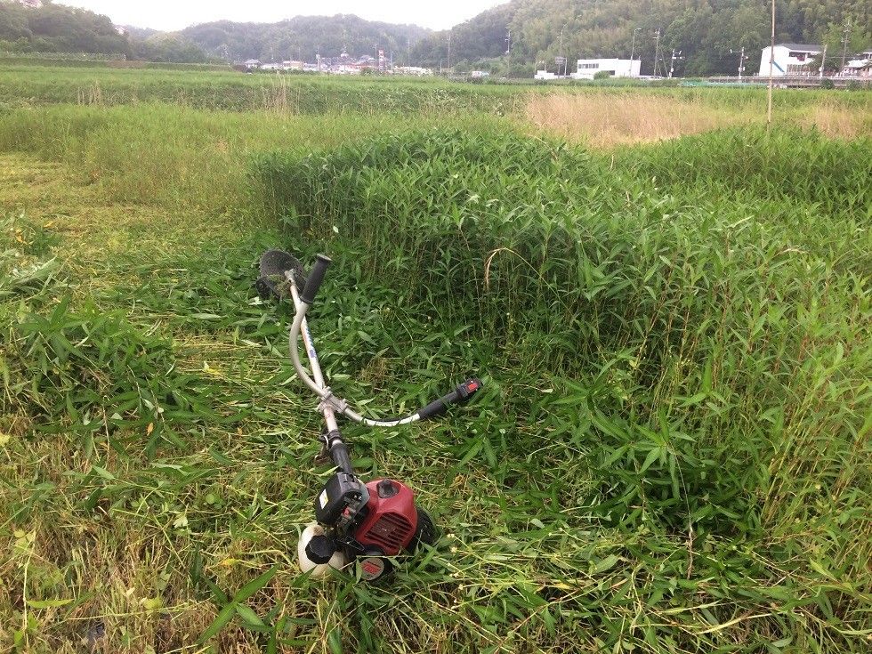 田植え開始！