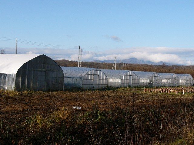 北海道研修会場でかいハウス。