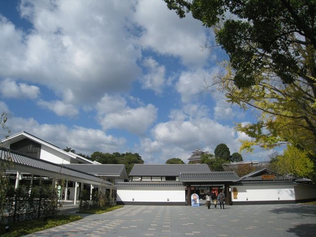 肥後山茶花です