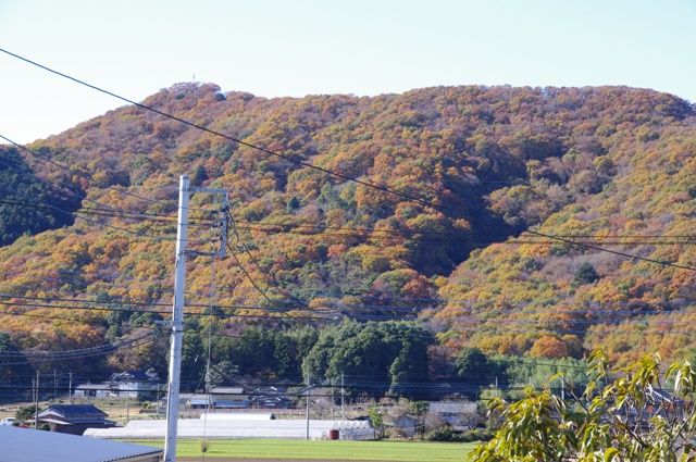 ベランダからの紅葉