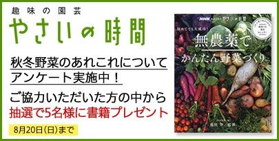 『やさいの時間』アンケートにご協力ください（抽選で書籍プレゼントも☆）