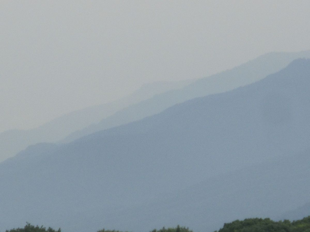 霧雨の金剛