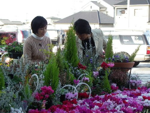 民放さんの園芸番組を収録してきました。