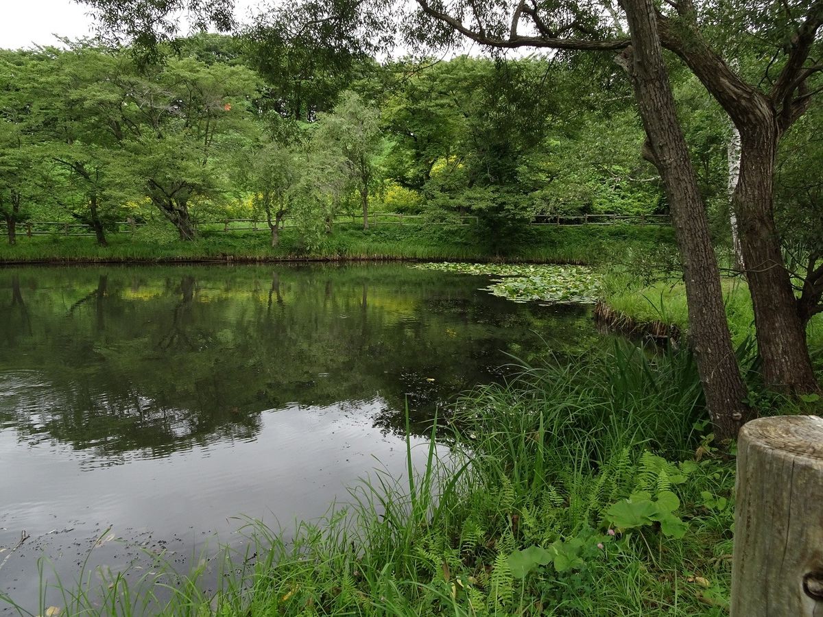 夏休みの探検！