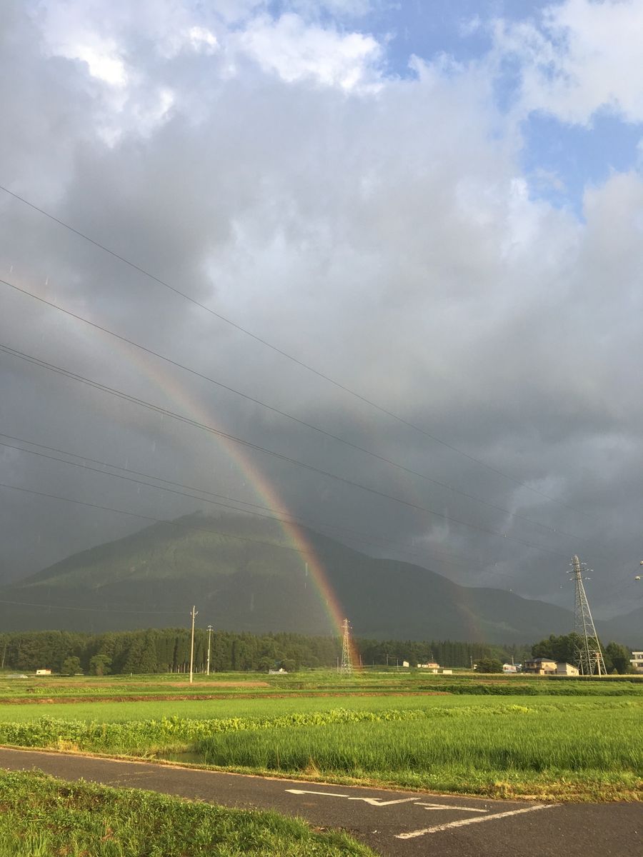 葉がでました。