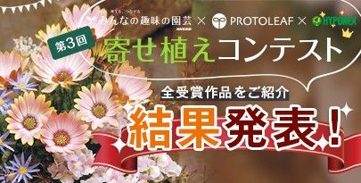 「第3回 寄せ植えコンテスト」結果発表！