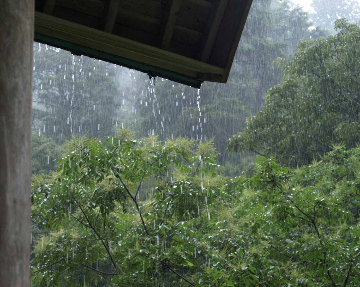 山で雷雨