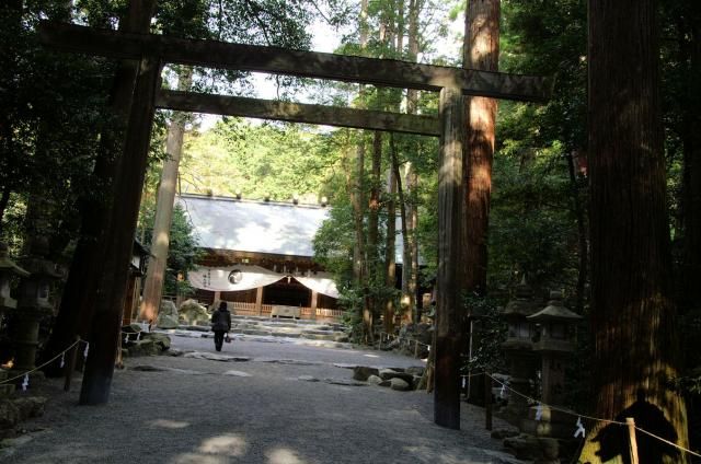 近くの神社で盆栽展が