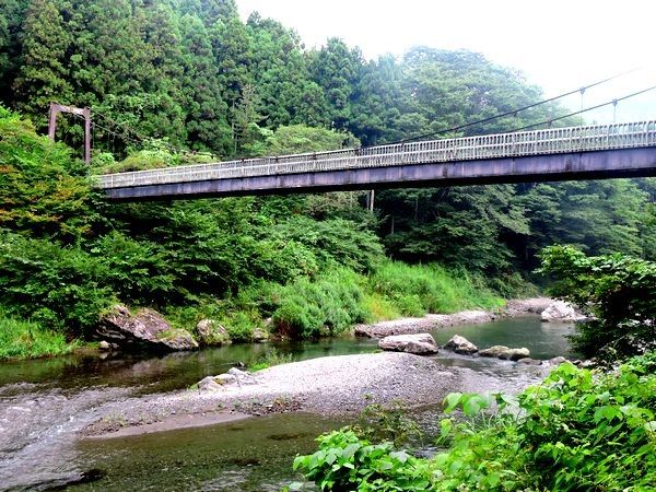 御岳渓谷とイワタバコの群生