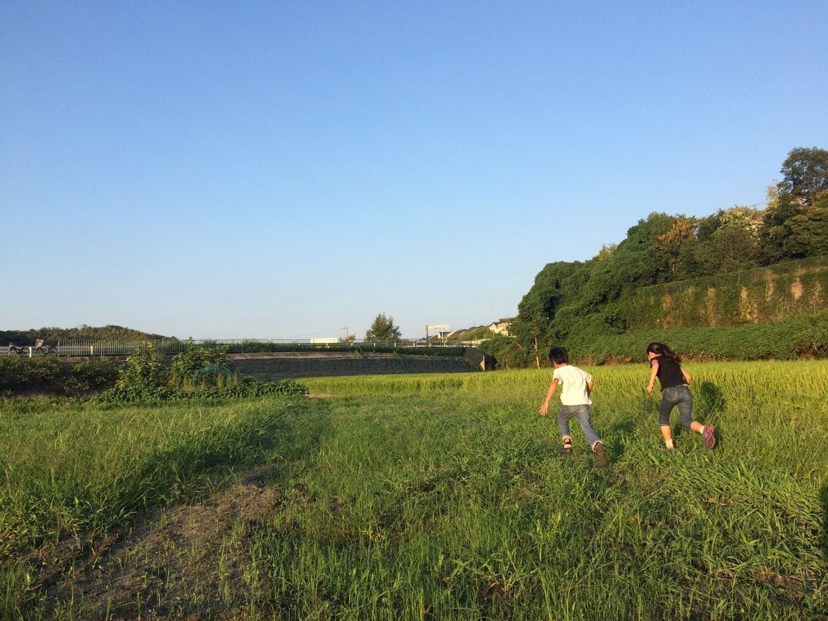 夏休み最終日