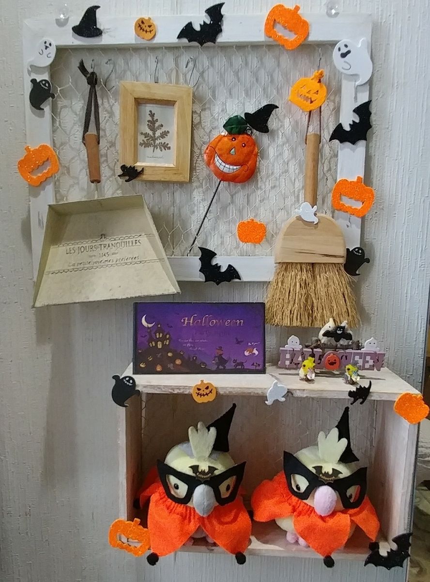 ハロウィン🎃仕様に🐤