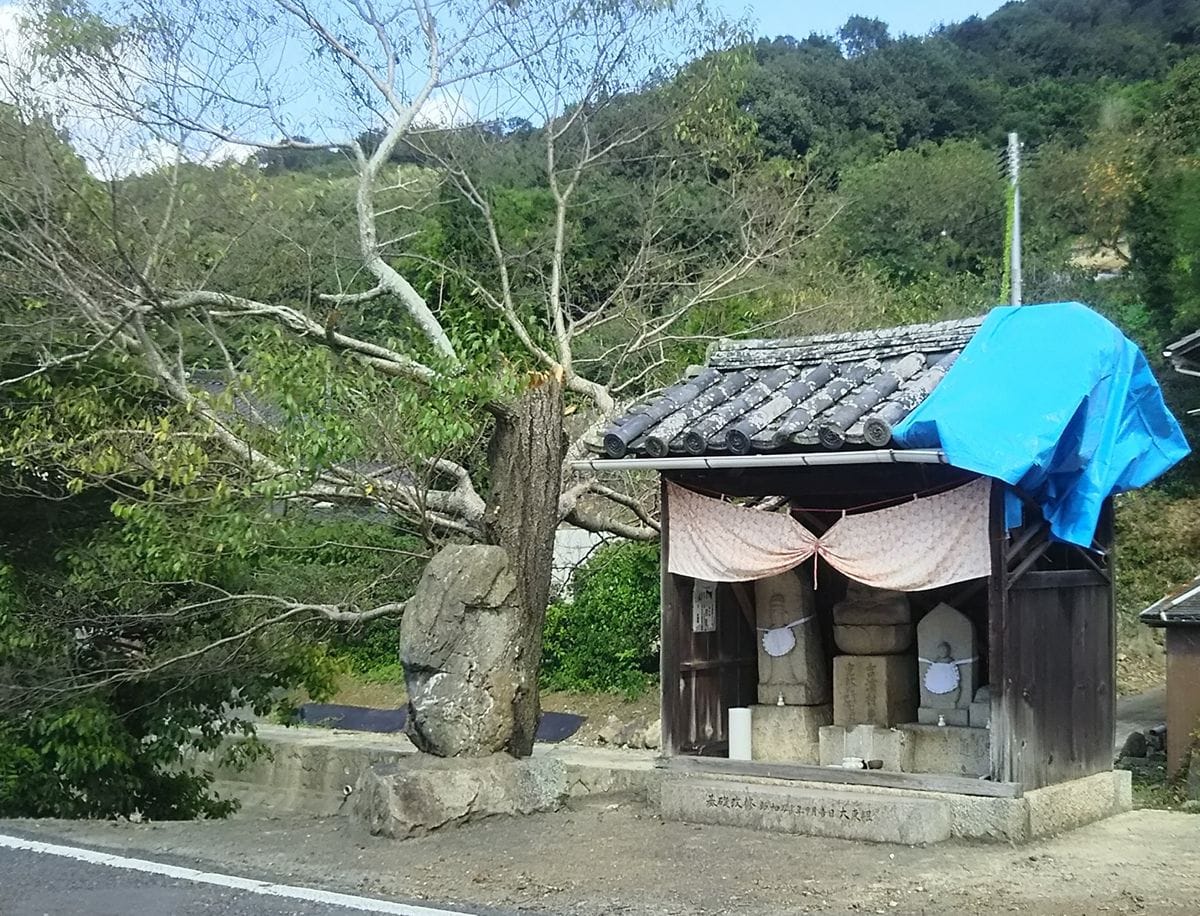 台風が恨めしい