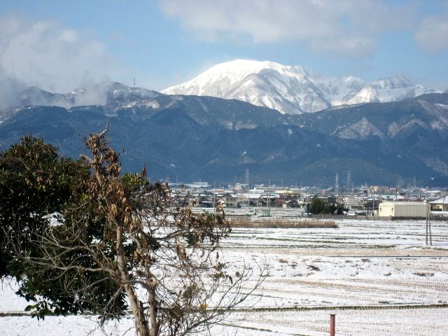 雪化粧