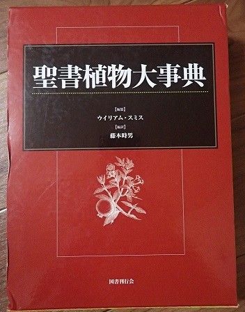 聖書の中のユリは何ユリか