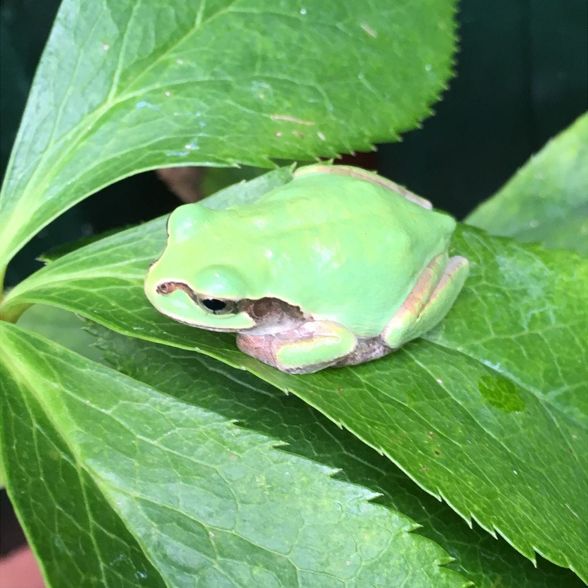 生き物3連発