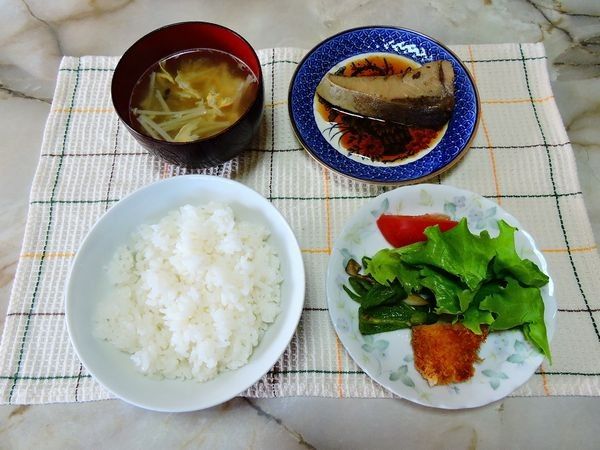 食事療法MS⑤235日目(1695日)