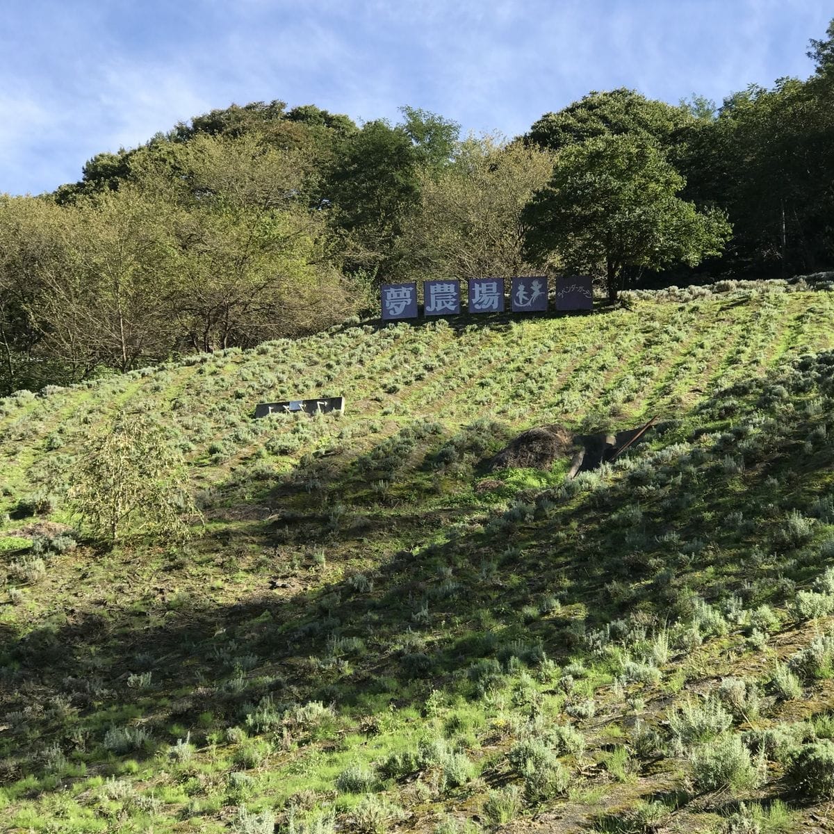 10月上旬 長野県北安曇郡ラベンダーガーデン夢農場