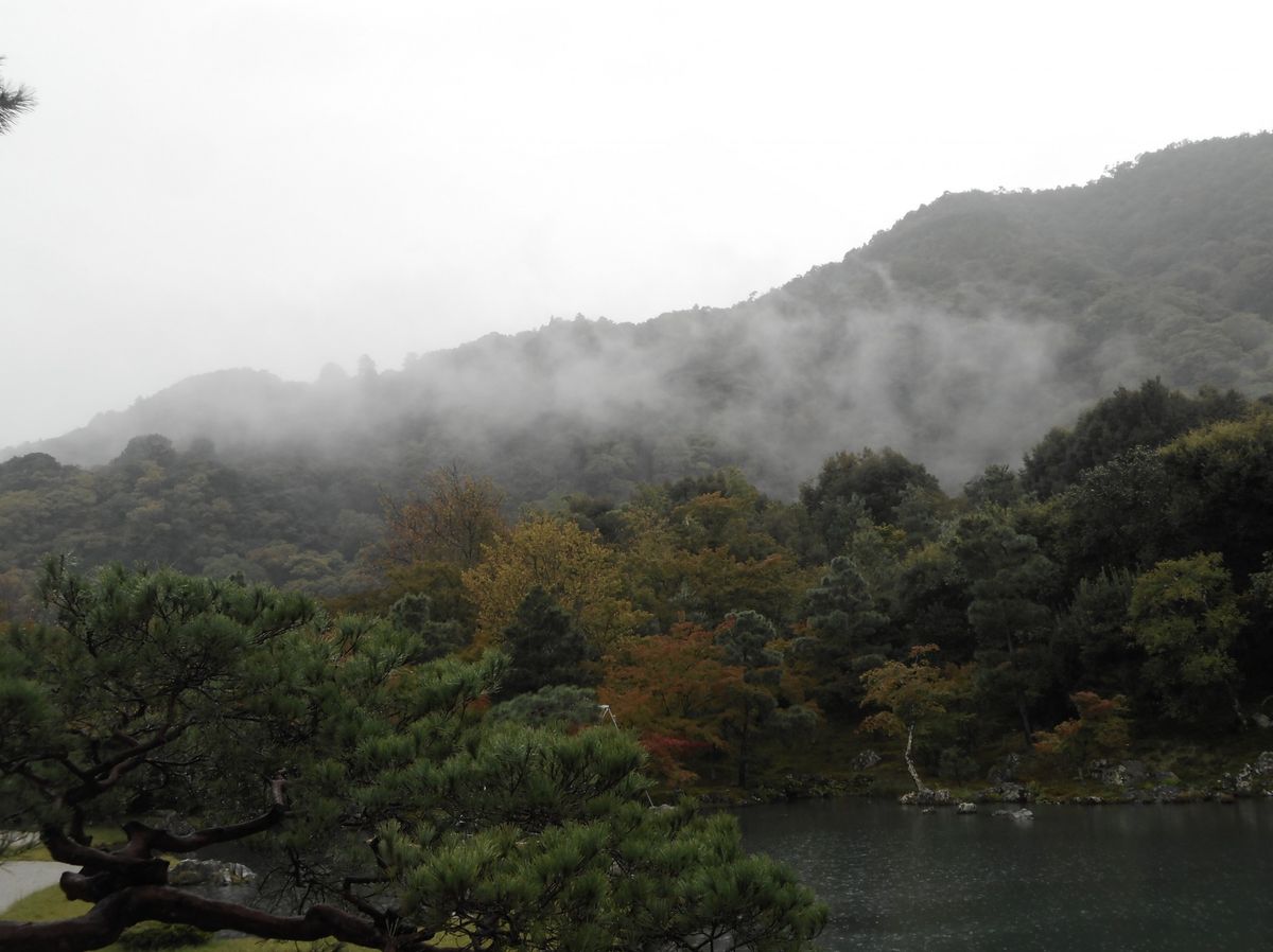 雨の京都に行ってきました(^^♪